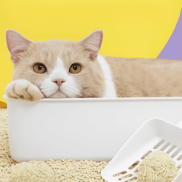Crunchies Tofu Blend Cat Litter - view 1